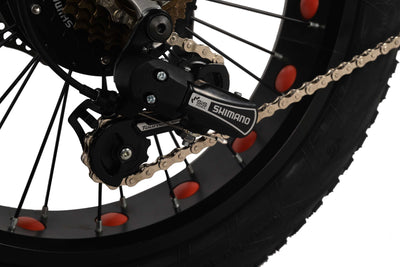 Minal FT40 20" Electric folding fat bike