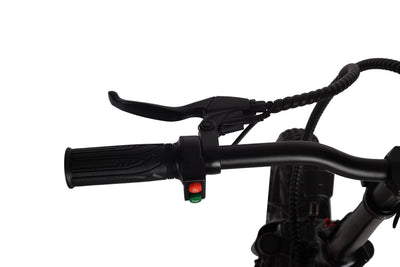 Minal FT40 20" Electric folding fat bike