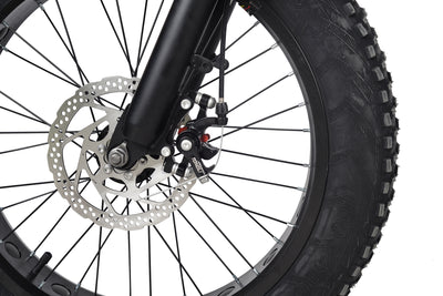Minal FTC300 20"  Electric folding fat bike