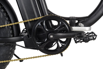 Minal FTC300 20"  Electric folding fat bike