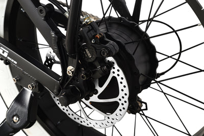 Minal M1 Pro 20"  electric folding fat bike