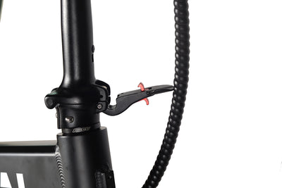 Minal M1 Pro 20"  electric folding fat bike
