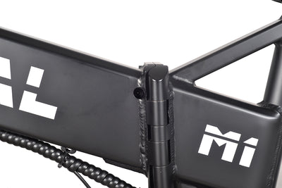 Minal M1 Pro 20"  electric folding fat bike